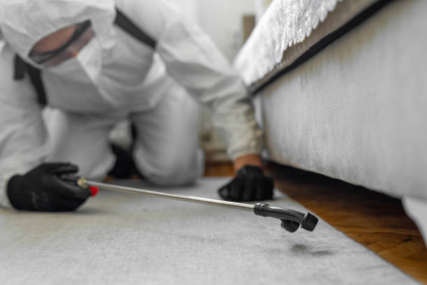 Professional Emergency Pest Control technician working in South Monrovia Island, CA