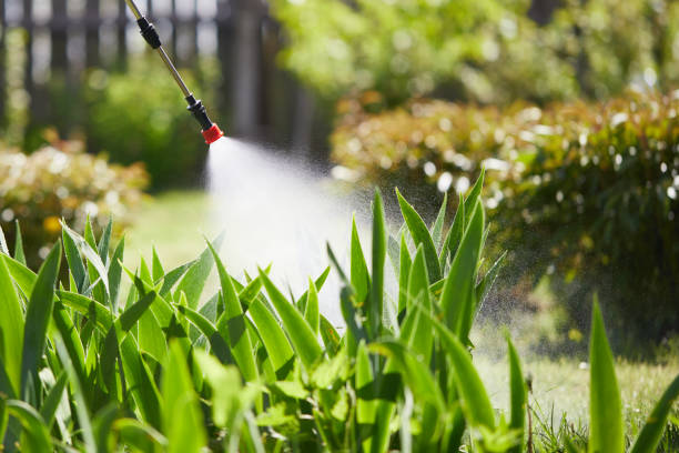 24/7 Emergency Emergency Pest Control experts in South Monrovia Island, CA