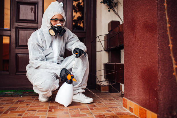Reliable Emergency Pest Control contractor in South Monrovia Island, CA by Nex Pest Control