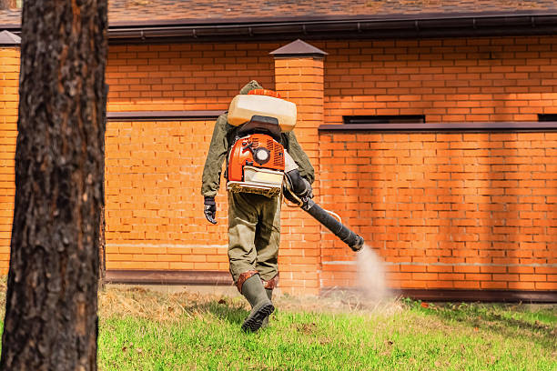 Trusted Bed Bug Control service in South Monrovia Island, CA - Nex Pest Control